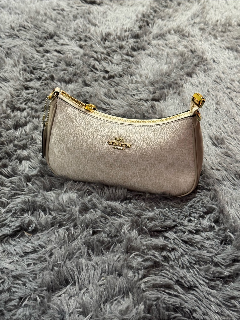 Coach Teri Shoulder Bag – Signature Canvas